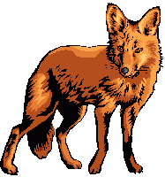 fox_187x200.png